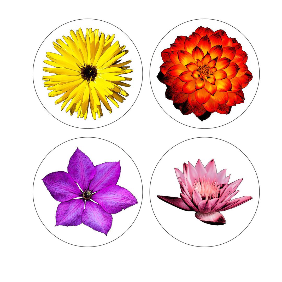Flower Coasters - Round with Cork Bottom, Set of 4