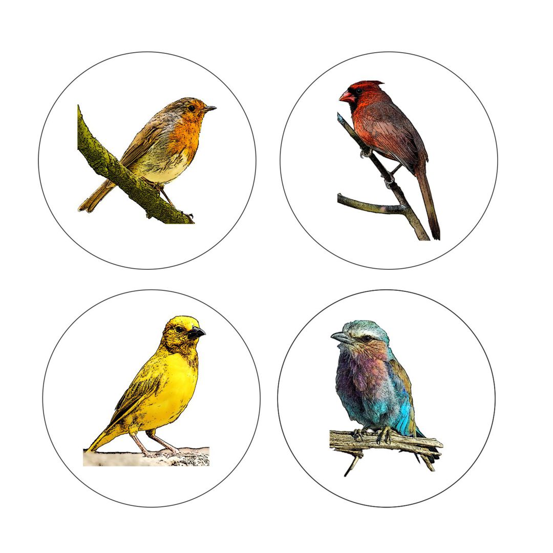 Woodland Bird Coasters - Round with Cork Bottom, Set of 4