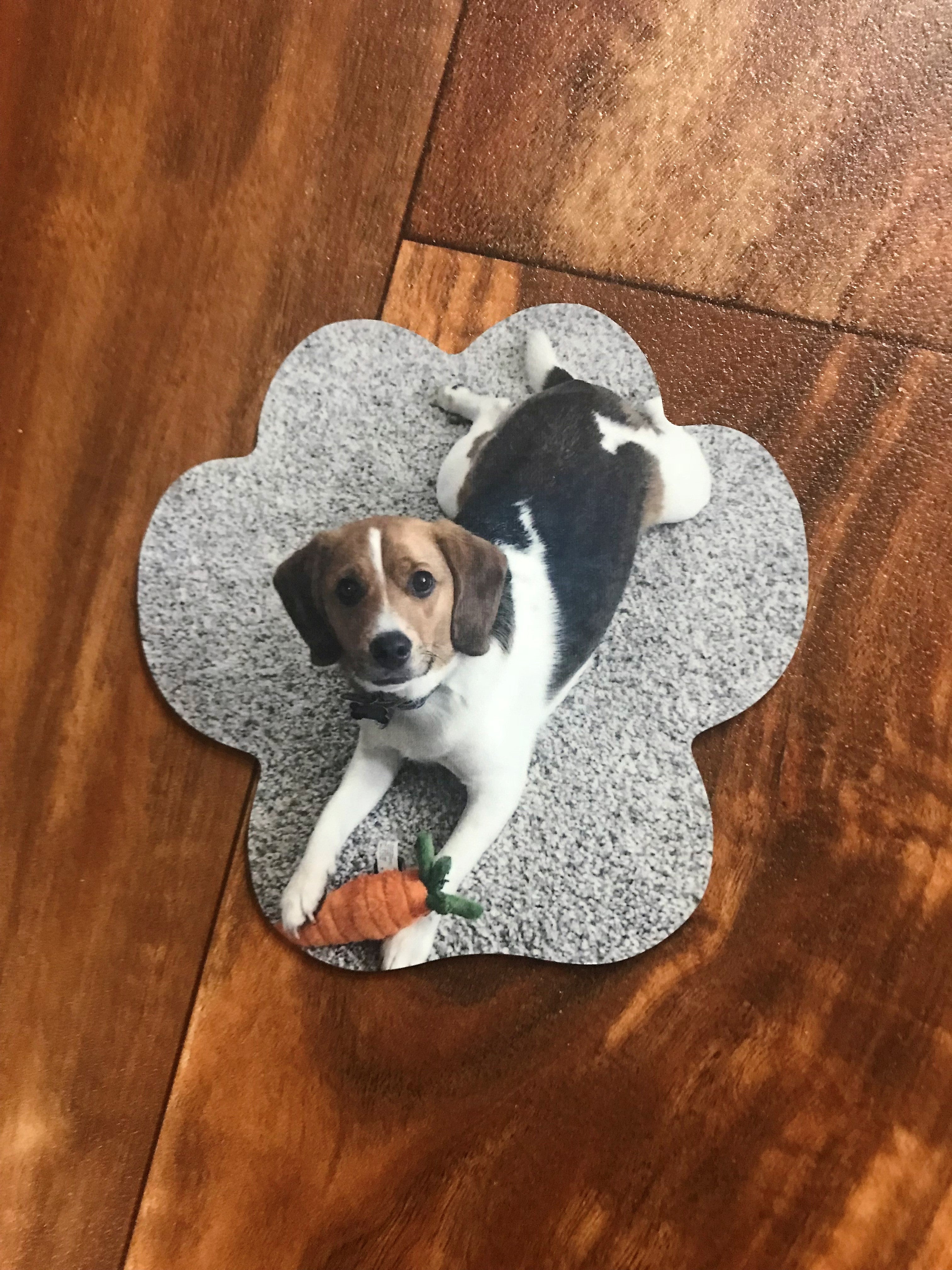 Personalized Photo Dog Paw Magnet - Design Your Own