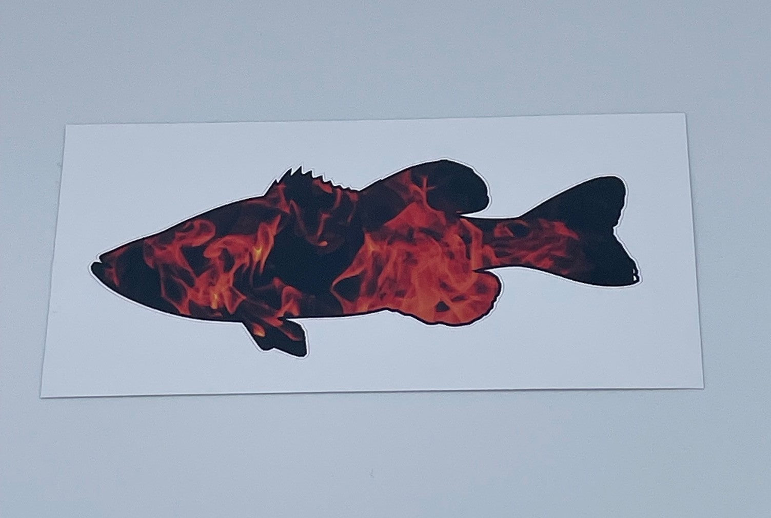 Bass Fish Decal - Available in Various Designs
