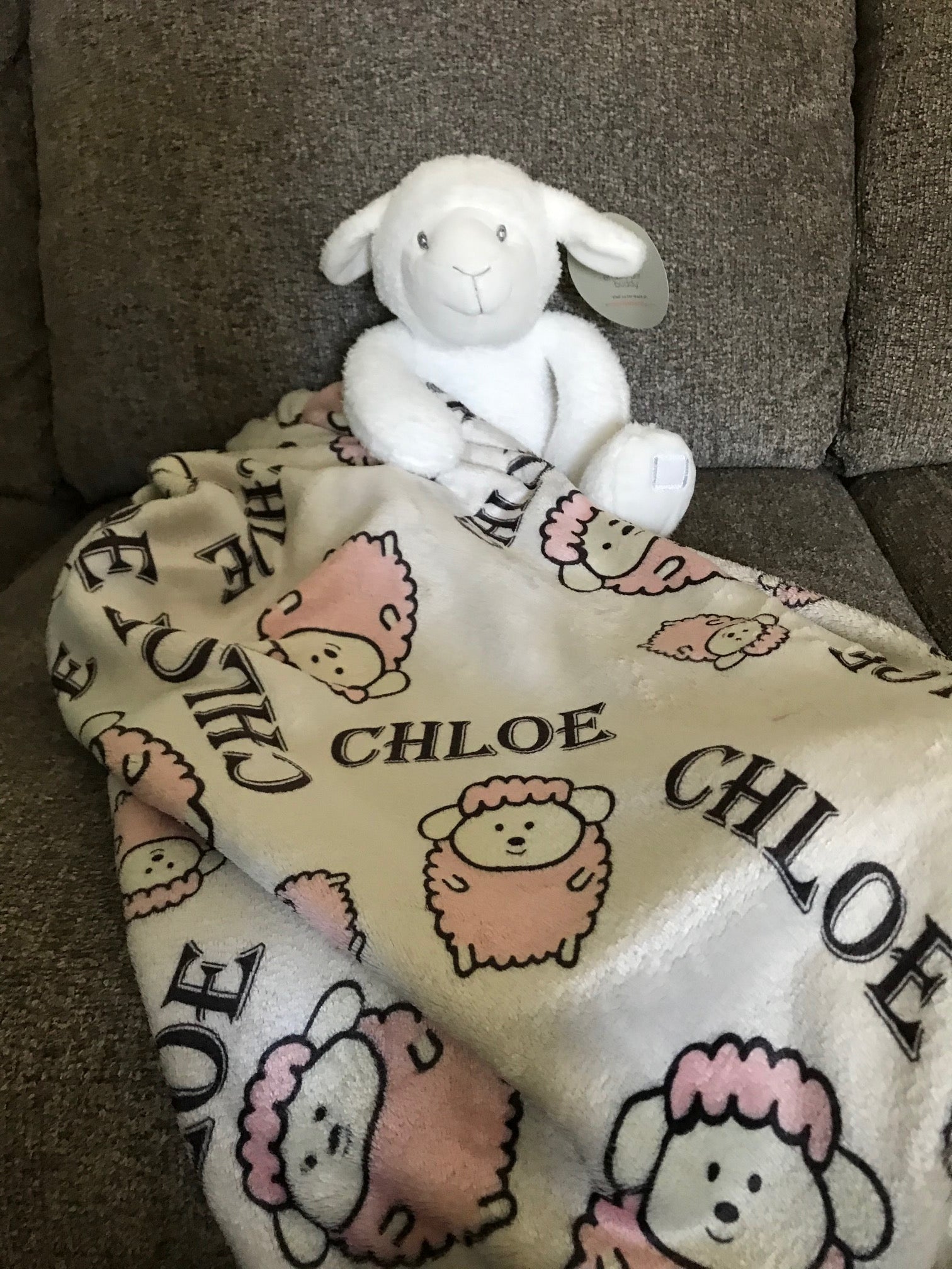 Personalized Baby Blanket and Stuffed Lamb - Ideal Gift Set